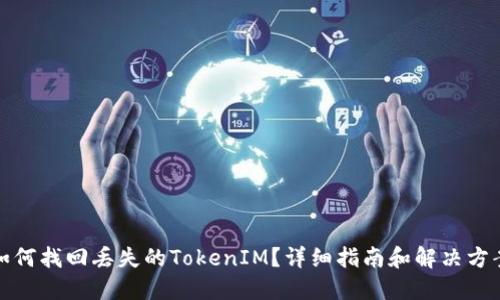 如何找回丢失的TokenIM?详细指南和解决方案