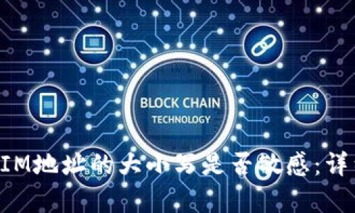 TokenIM地址的大小写是否敏感:详细分析