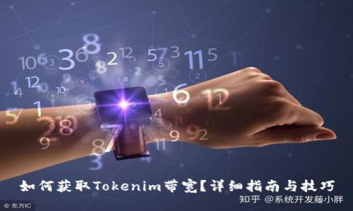 如何获取Tokenim带宽?详细指南与技巧