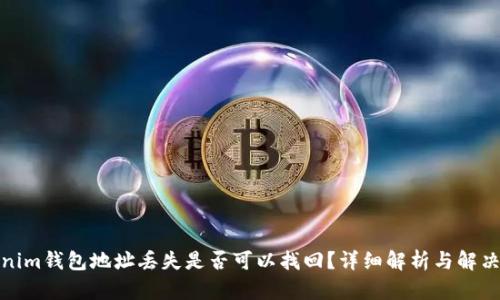 Tokenim钱包地址丢失是否可以找回？详细解析与解决方案