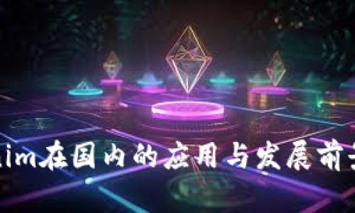 Tokenim在国内的应用与发展前景分析