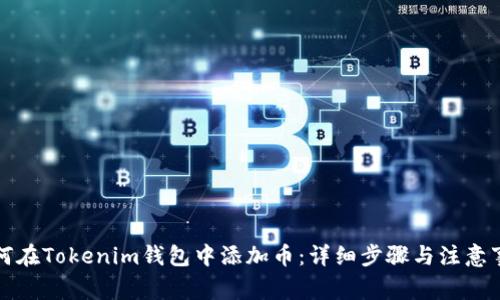 如何在Tokenim钱包中添加币：详细步骤与注意事项