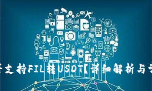 Tokenim是否支持FIL转USDT？详细解析与常见问题解答