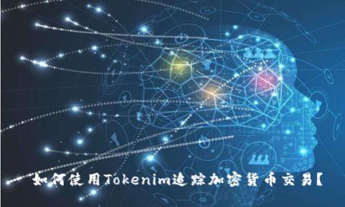 如何使用Tokenim追踪加密货币交易？