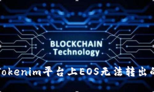 如何解决Tokenim平台上EOS无法转出的映射问题