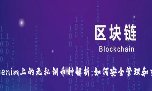 Tokenim上的无私钥币种解析：如何安全管理和交易