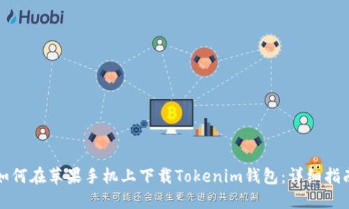 如何在苹果手机上下载Tokenim钱包：详细指南