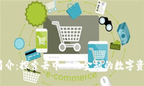  Uni币简介：探索去中心化金融的数字资产未来 