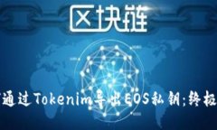 如何通过Tokenim导出EOS私钥