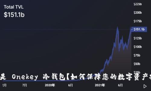 什么是 Onekey 冷钱包？如何保障您的数字资产安全？