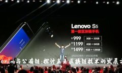 Tokenim与公有链：探讨未来