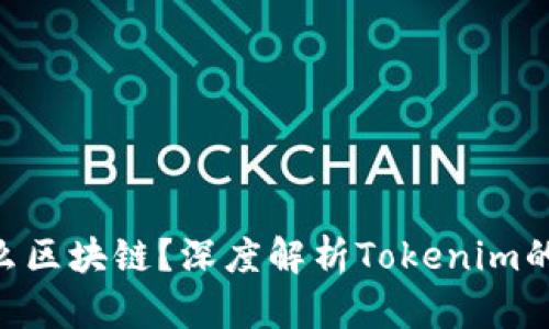 Tokenim属于什么区块链？深度解析Tokenim的底层技术与生态