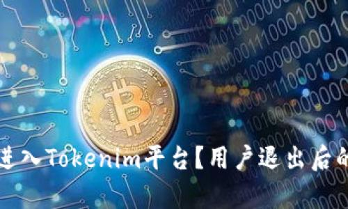 如何重新进入Tokenim平台？用户退出后的恢复指南
