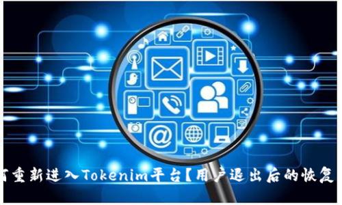 如何重新进入Tokenim平台？用户退出后的恢复指南